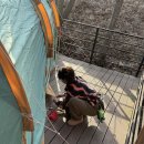 블루문캠핑장 | 가평 블루문캠핑장 숲속18번 사이트 얼어 죽지 않고 살아돌아온 후기