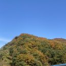 경강오리구이 이미지