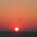 바인호텔 이미지