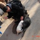 서대산휴게소 이미지