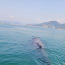 송도수산 이미지