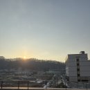 데일리 제이 이미지