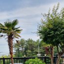 여울애견 이미지