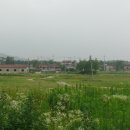 도토리약국 이미지