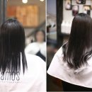 머리 & 봄