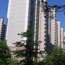 GS25신봉 Daum카페