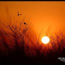 카페다움 이미지