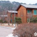 효소테라피 이미지