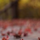 하늘로열린창 이미지