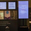 관양산길 | 원주 뮤지엄산 할인 전시 관람 후기 (기본권)