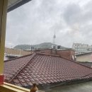 오오미미 이미지