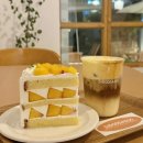 카페 시도 | 창원 가로수길 디저트 카페 시도때도 내돈내산 후기