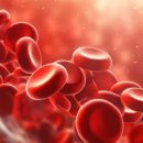 멍테라피 이미지