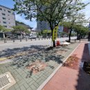 구포시장 근처 민물장어 직판장 자포니카 장어 포장 [덕진수산] 민물장어 구워 먹는 법