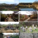 일자산자연공원(허브천문공원) 이미지