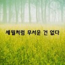 정말 무서운 건 세월입니다. / 김동길 이미지