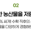 농장스