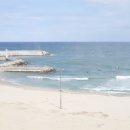 솔게스트하우스 양양서핑점 이미지