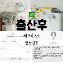 행정28 | 서울 영등포구 출산 후 해야 할 일 체크리스트, 지원금 행정업무 등
