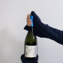 민트그린 카카오 검색결과