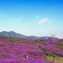 범서주유소 이미지