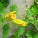 번개시장 이미지