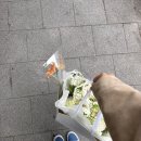 오니플레르 | [Wedding]야외 웨딩스냅 ④ - 가성비 좋은 웨딩촬영 생화부케 라프티플레르 💐