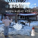 [강화도 숙소] 물푸레시골집, 강화도 내돈내산 촌캉스 숙소 찐후기(+장점/단점) | 사랑채 숙박