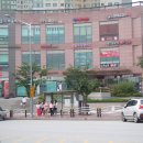 세계로안경원 Daum카페