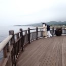 호미곶수산건어물
