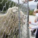 능성목장 이미지