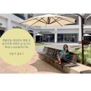 배곧 미용실 디아르떼보스 뿌리염색 후기
