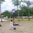 썬바라기
