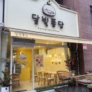 달빛퐁당 이미지