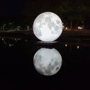 중앙탑길 이미지