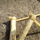 함허동천 시범야영장 이미지