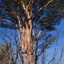 신암마을회관 이미지