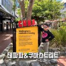 SOS박물관 | NZ 북섬 웰링턴 당일치기 관광지 여행 : 테파파박물관 쿠바스트리트 쿠바몰 올드뱅크아케이드
