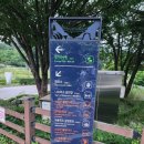 나오라쇼 공연장 이미지