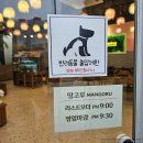신선로 | 목포 평화광장 카페 망고루｜신선로 생망고빙수 먹어본 후기