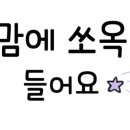 위미초등학교 ↔ 동백군락지 이미지