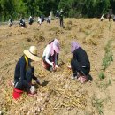 쌍백면사무소 이미지