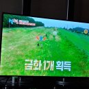 2025년 7월 13일 제주도에 간 1박2일/k리그2 인천 유나이티드 대 충남아산 중계방송 시청 이미지