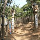 (주)상록수관광 이미지