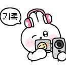 소피아 플라워 스튜디오