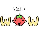 씨에로(cielo) 이미지