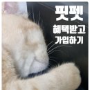 파이프라인몰 이미지