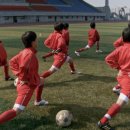 전주전가 이미지