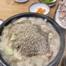 원약국 | 티라떼, 대전 신세계백화점 블루독, 태양커피, 도룡동 트웰브오, 투썸 북대전ic, 호남 출장, 명문제과...
