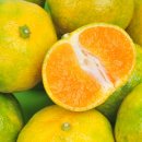 거산농장 이미지